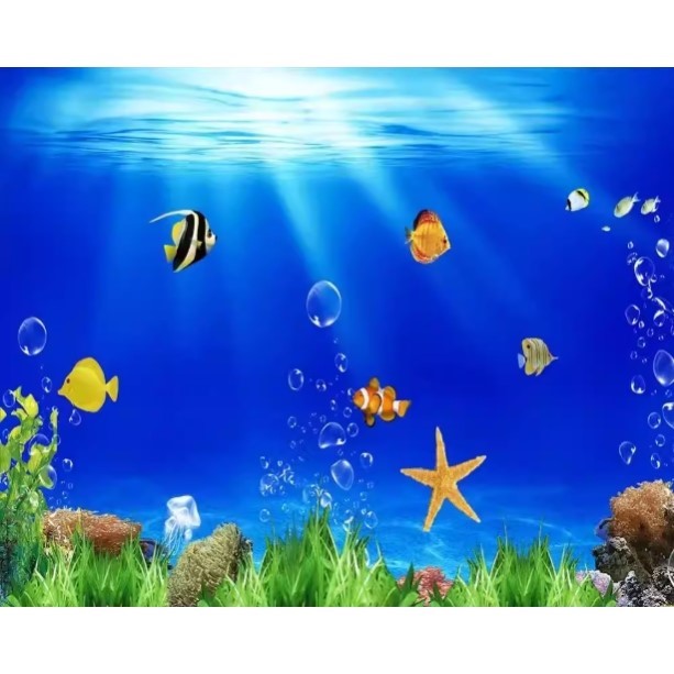 Aquarium Fish Of The World - High Definition 3D Aquarium Background Sticker