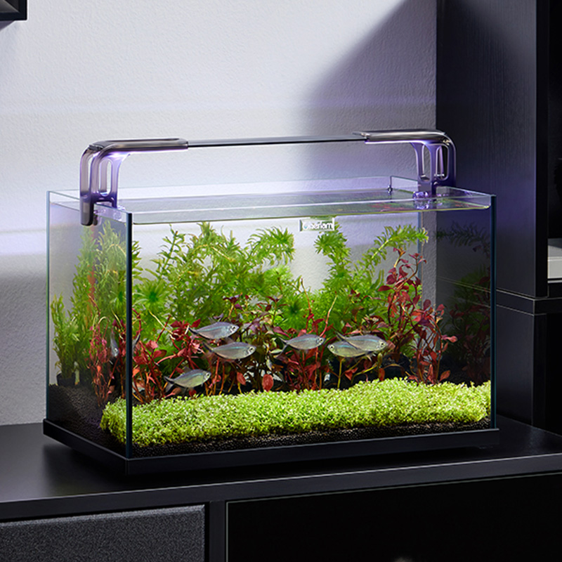 Aquarium Fish Games - sttl Cherlam Factory Wholesale 20 Gallon