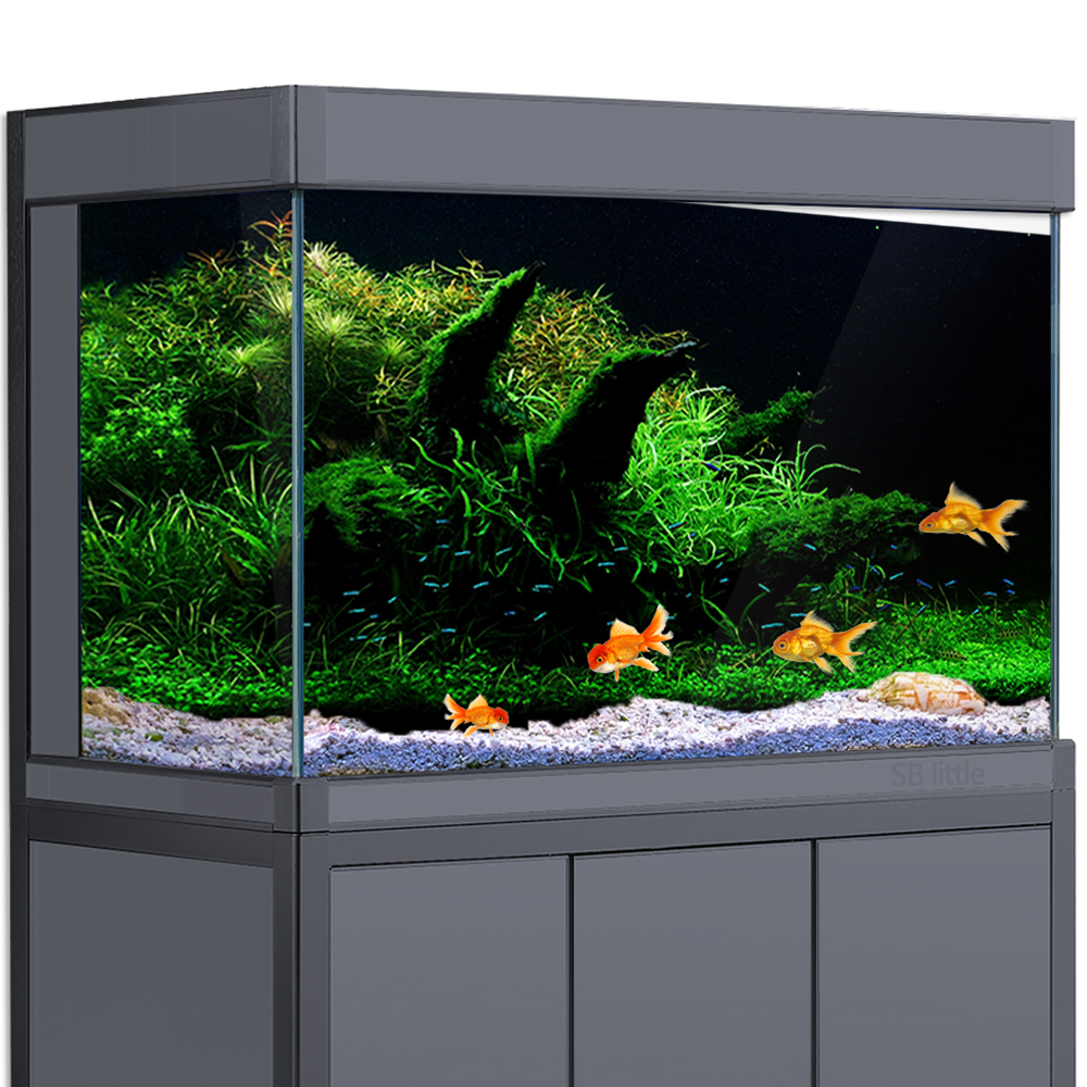 Aquarium Fish Poster - Aquarium Background Fish Tank Aquatic Plant