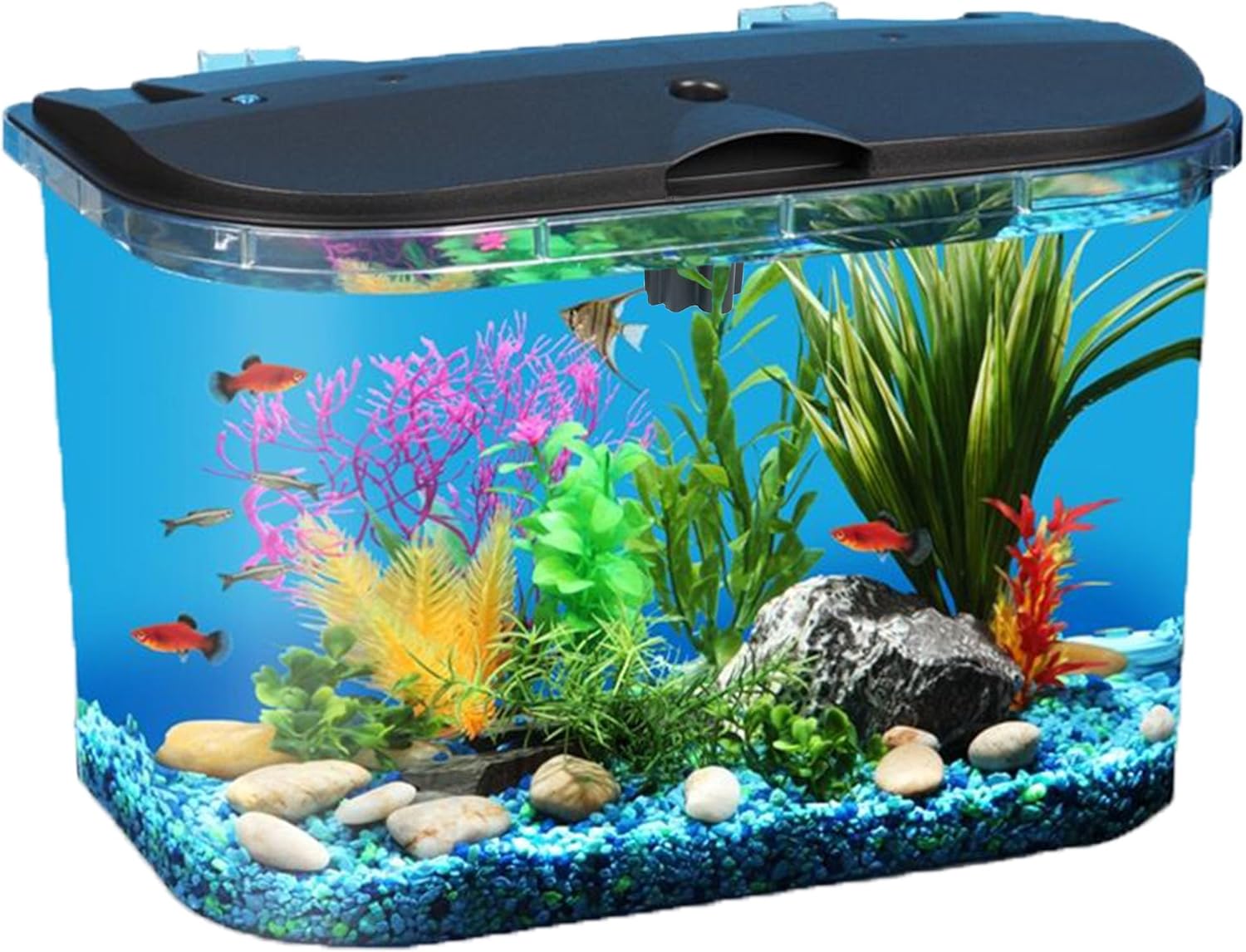 Aquarium Fish Light - 5-Gallon Aquarium Kit with LED Lighting