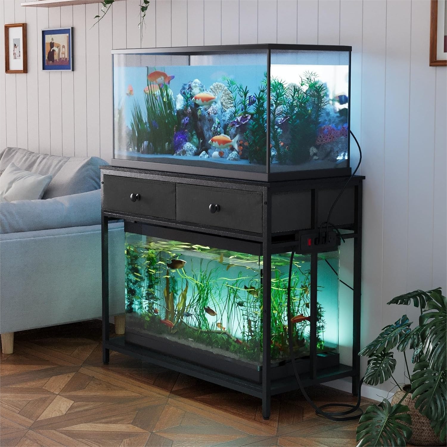 Aquarium Fish Images - 40 Gallon Aquarium Stand with Power