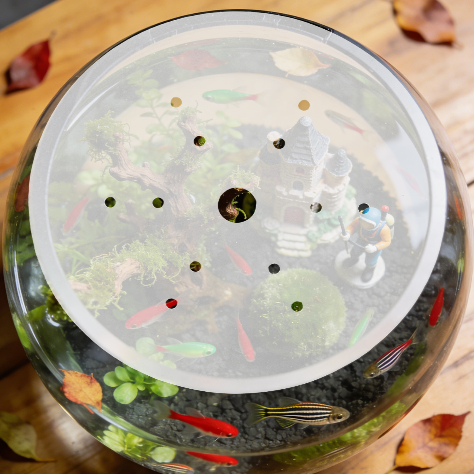Aquarium Fish Escape - 19Cm Clear Acrylic Round Fish Tank
