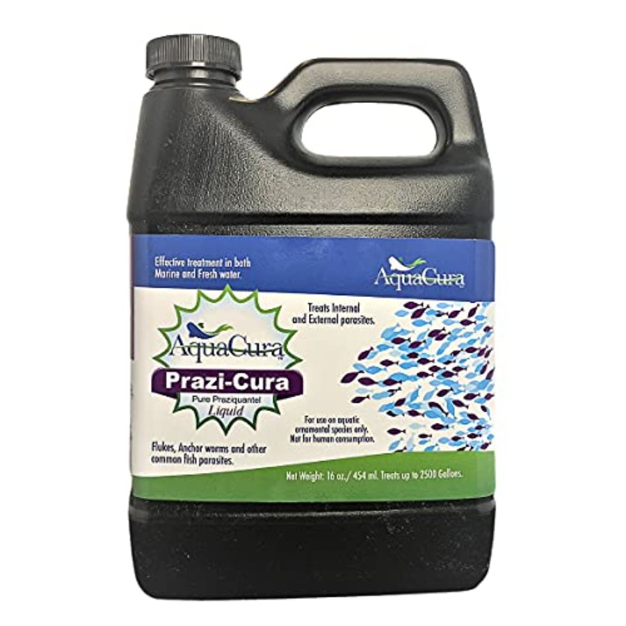 Aquarium Fish Parasites - Prazi-Cura Liquid - Safest Most Effective