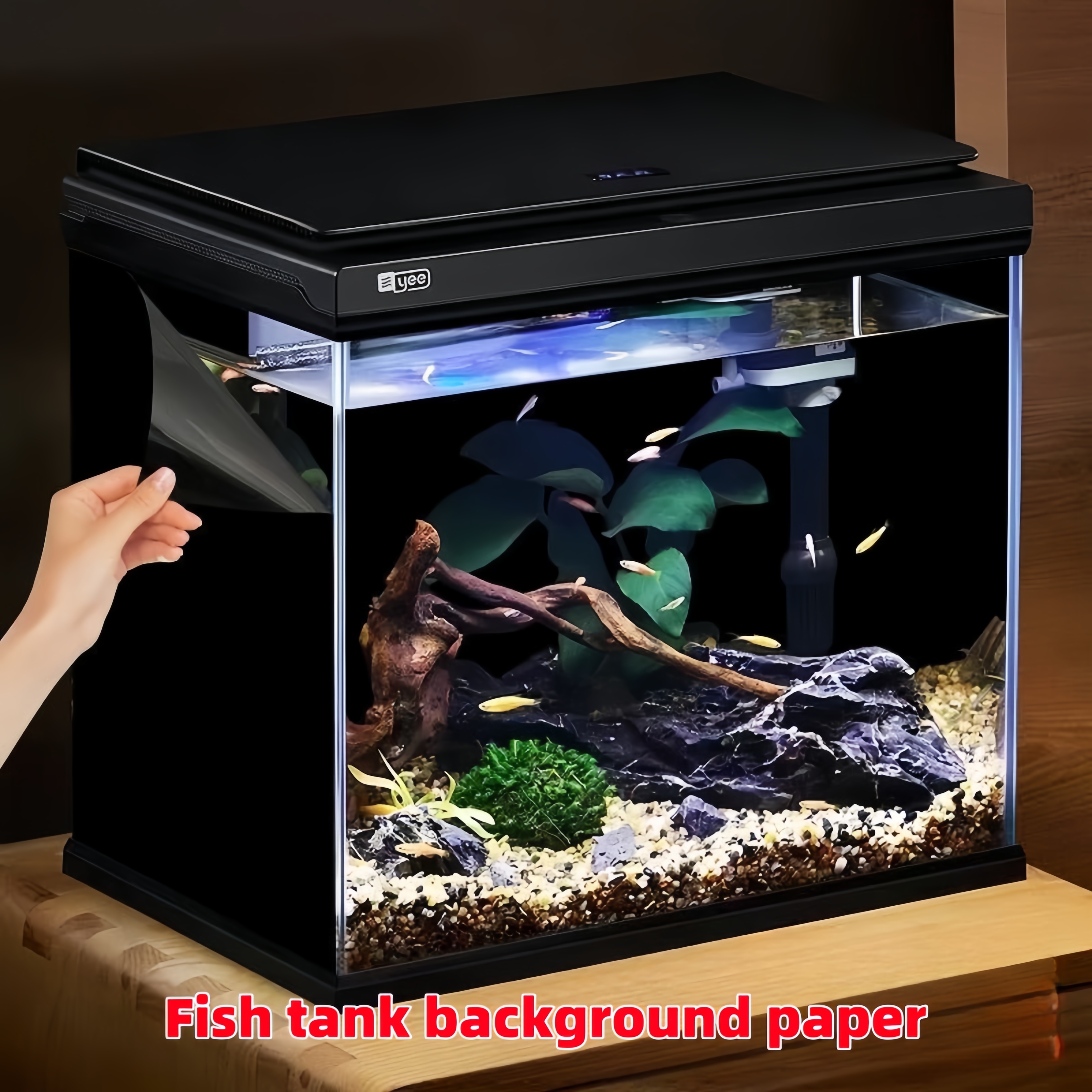 Aquarium Fish Poster - Black Aquarium Background Wallpaper Aquarium Poster