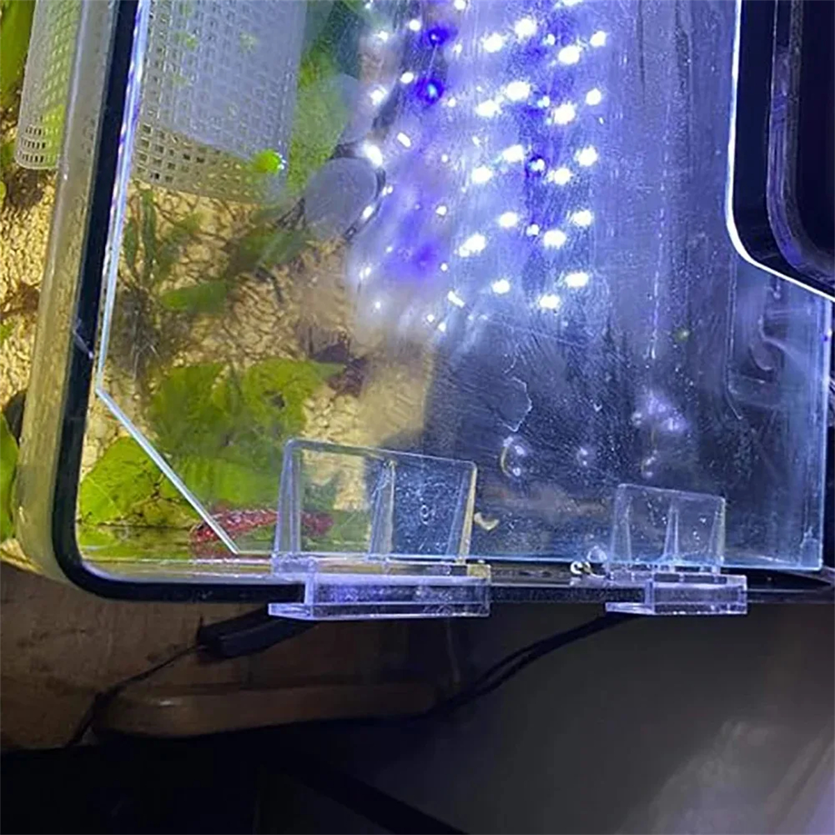 10Pcs Transparent Acrylic Fish - огляд і ціна Aquarium Fish Images