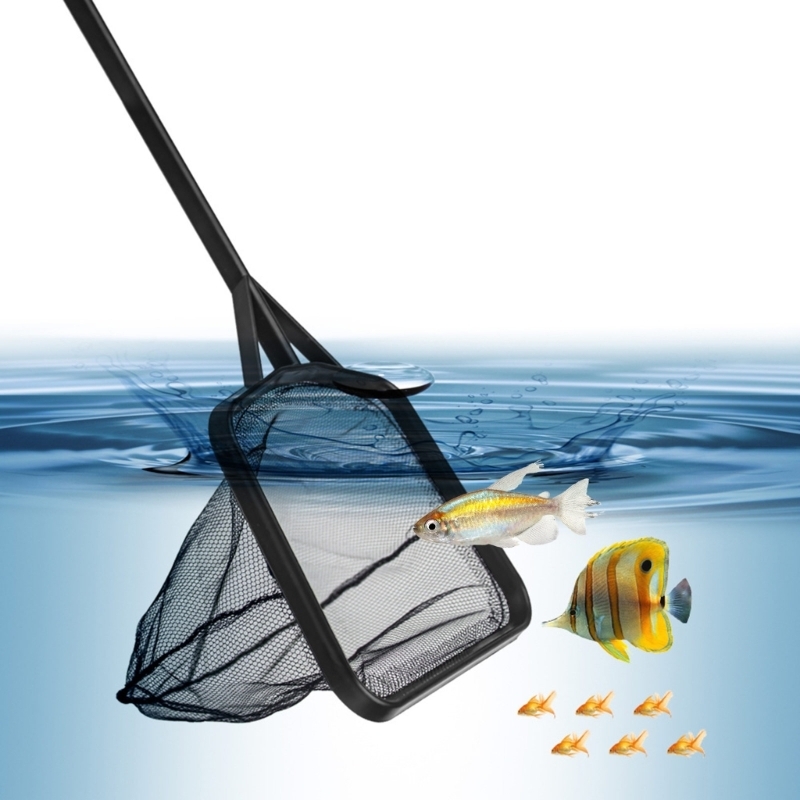 Multiple Length Handle Fishing - огляд і ціна Aquarium Fishland