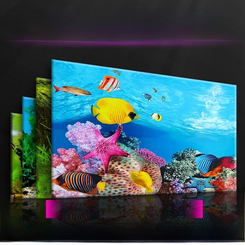 High Definition 3D Aquarium Ba - огляд і ціна Aquarium Fish Of The World