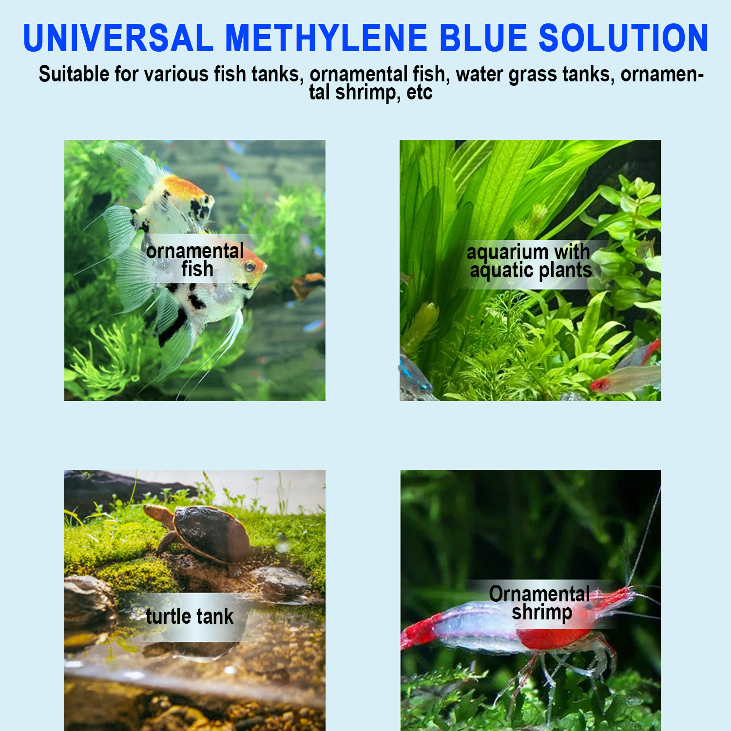 Methylene Blue Solution Aquari - огляд і ціна Aquarium Fish Parasites
