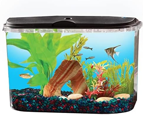 5-Gallon Aquarium Kit with LED - огляд і ціна Aquarium Fish Light