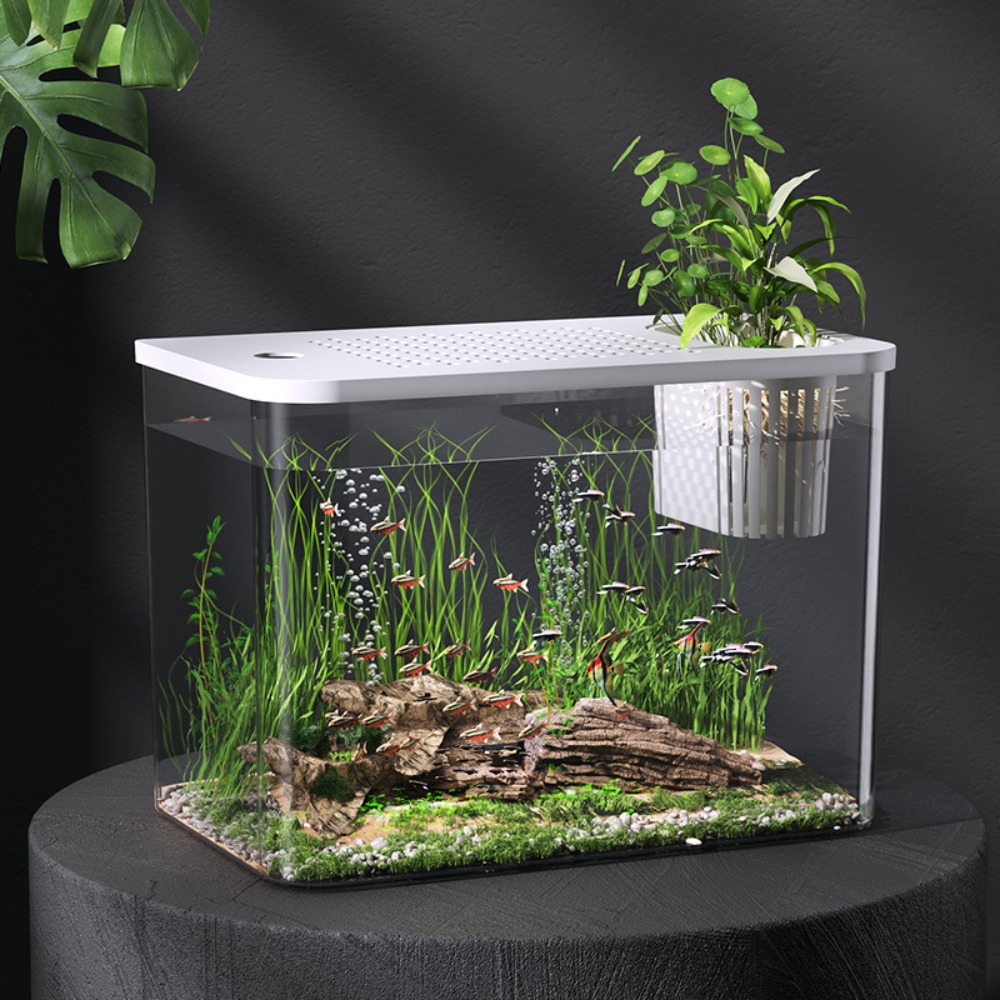 PET+ABS Fish Tank New Transpar - огляд і ціна Aquarium Fish Games