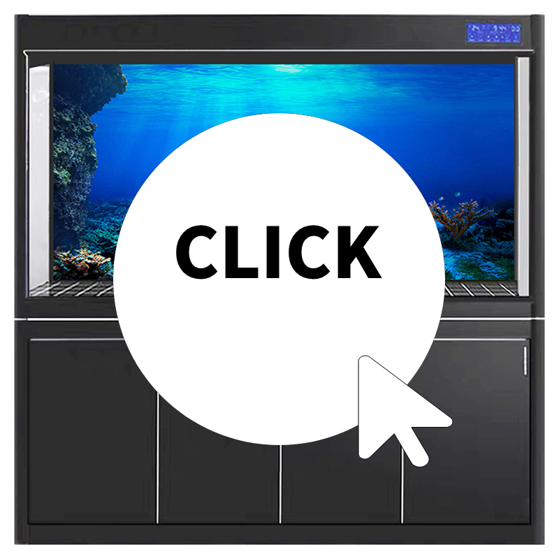 Fish Tank Background Decorativ - огляд і ціна Aquarium Fish Of The World