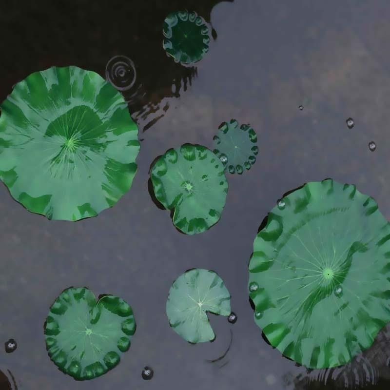 2026 Artificial Water Lily Lot - огляд і ціна Aquarium Fish Breeding
