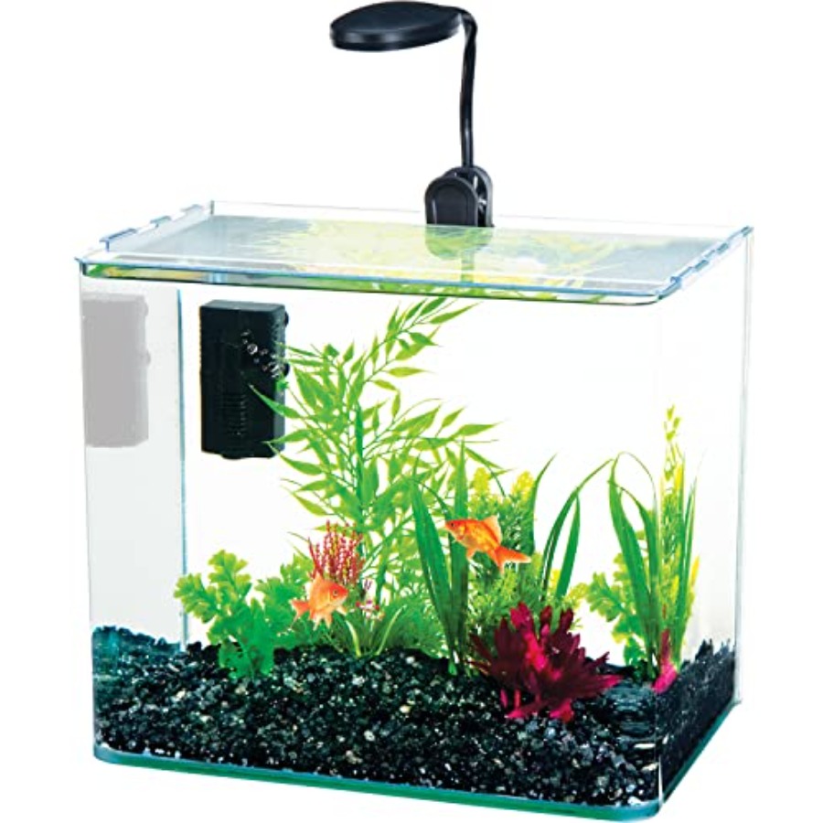 Water-World Radius Desktop Aqu - огляд і ціна Aquarium Fish Of The World