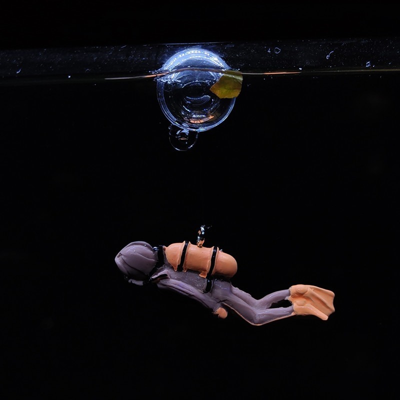 New Resin Floating Diver Aquar - огляд і ціна Aquarium Fish Of The World