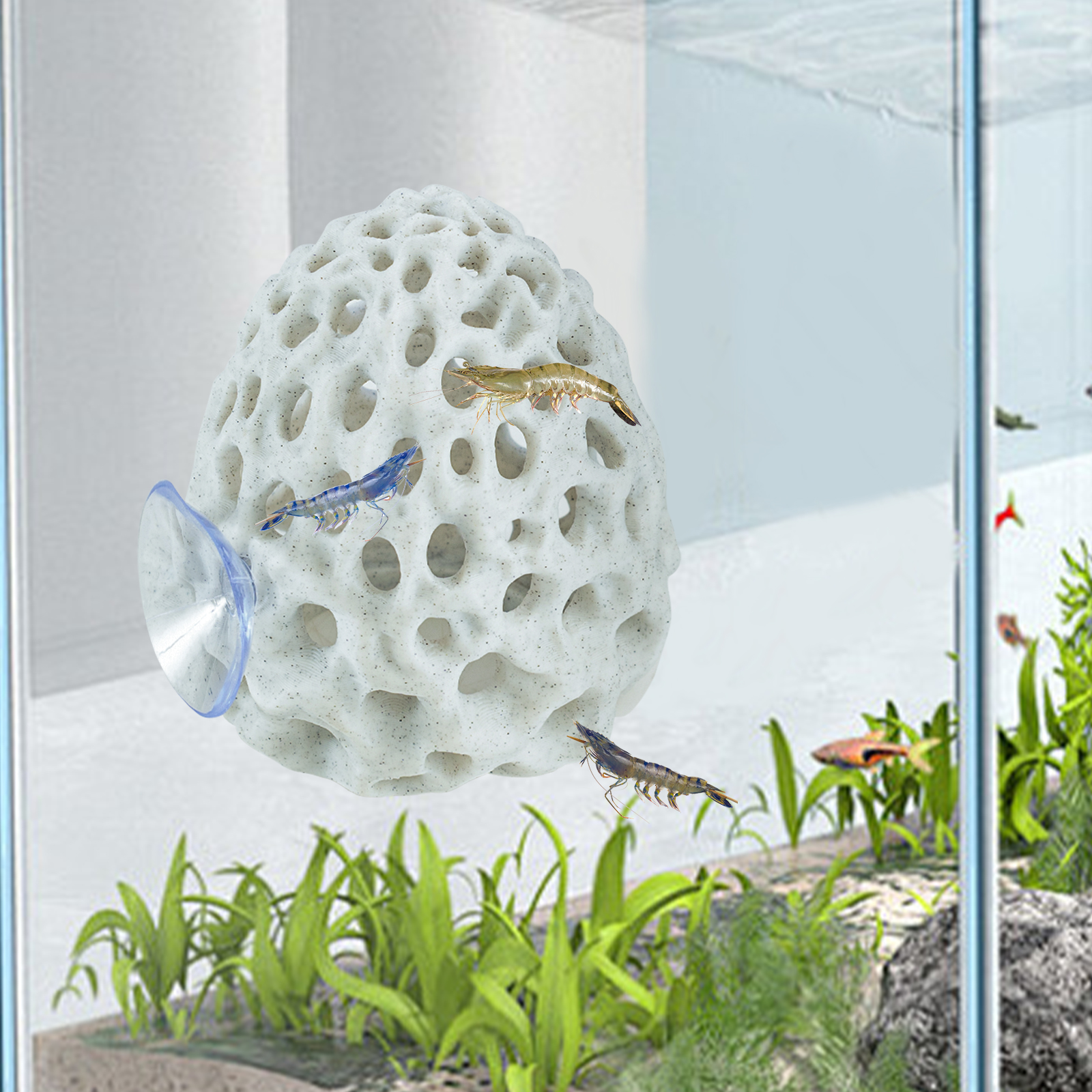 Shrimp Hides for Aquarium, Bet - огляд і ціна Aquarium Fish Games