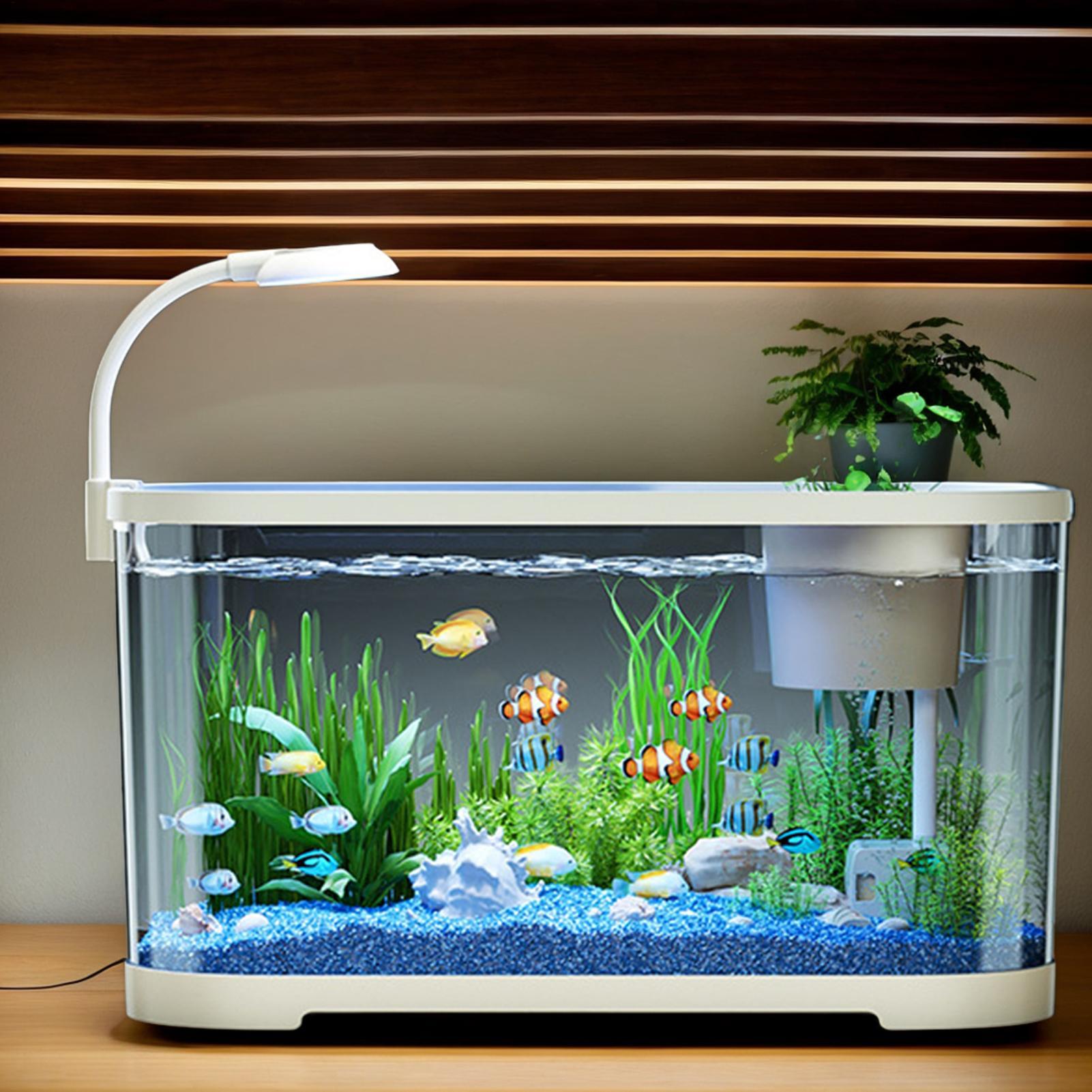 Aquarium Kit Starter Betta Fis - огляд і ціна Aquarium Fish Games