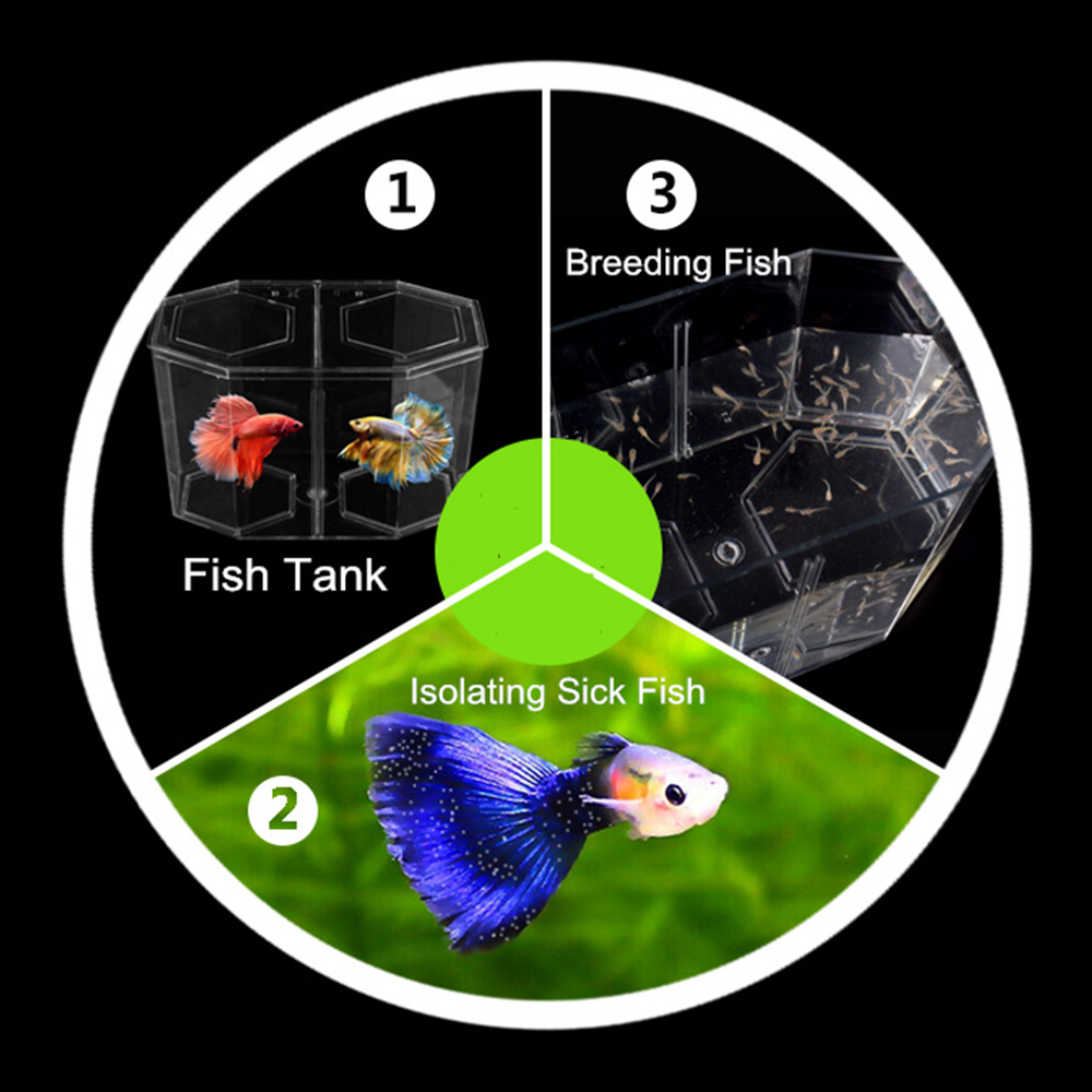 Acrylic Two Splits Guppy Fish  - огляд і ціна Aquarium Fish Games