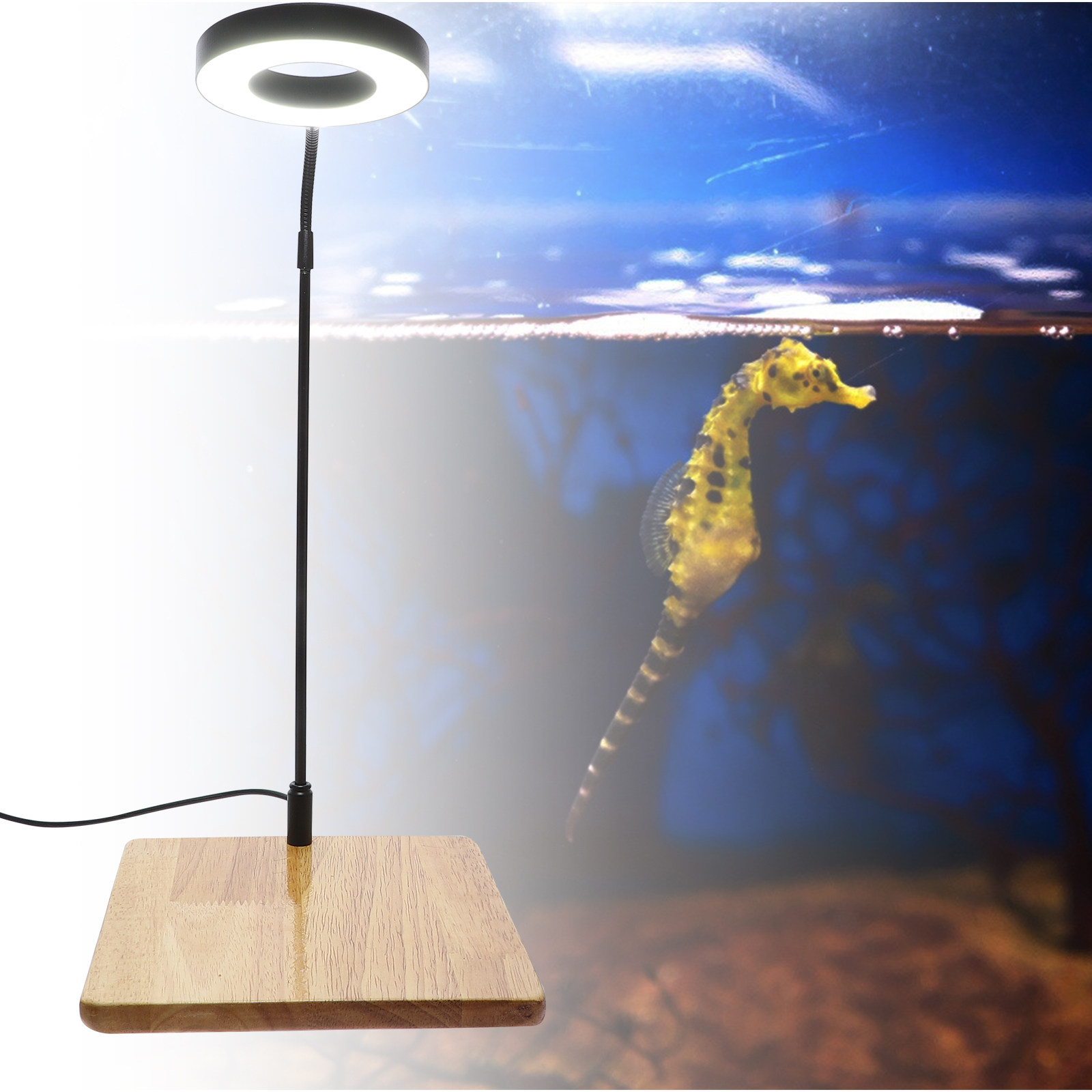1Pcs Aquarium Fill Light High  - огляд і ціна Aquarium Fish Light