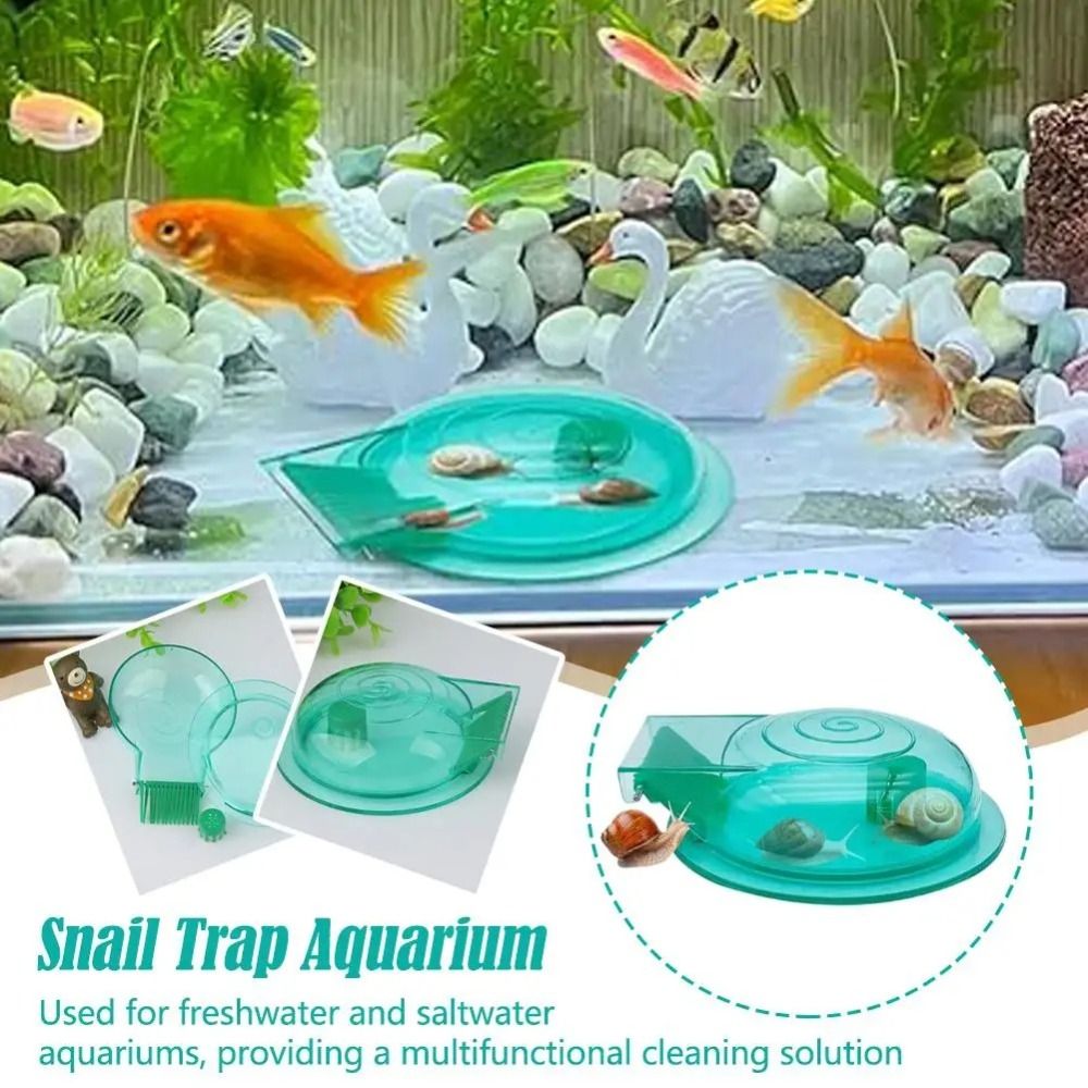 Freshwater Saltwater Aquarium  - огляд і ціна Aquarium Fish Escape