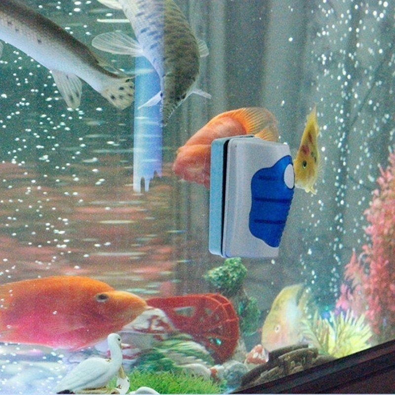 Fish Tank Glass Scraper Cleane - огляд і ціна Aquarium Fish Escape