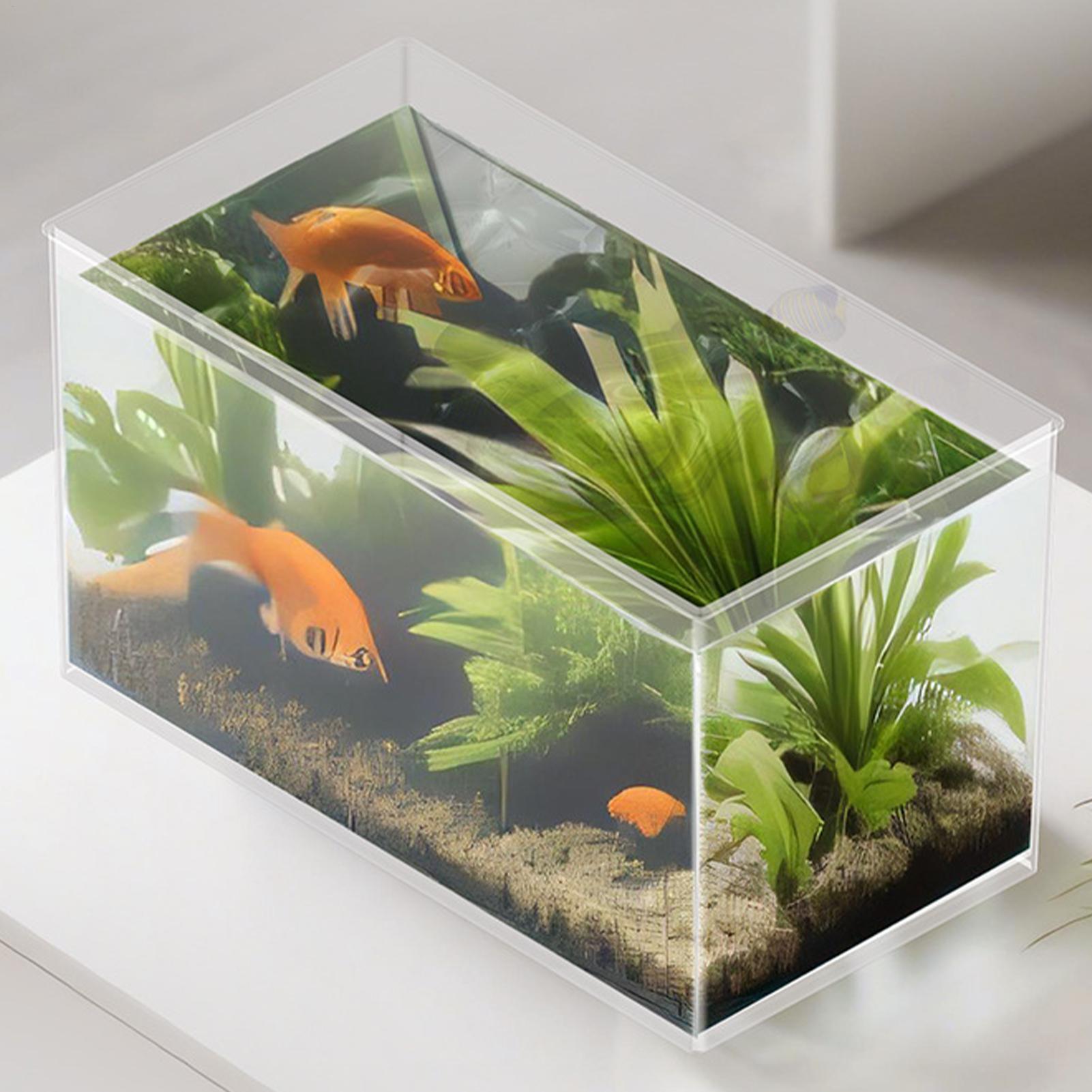 Small Fish Tank Betta Tank Ext - огляд і ціна Aquarium Fish Games