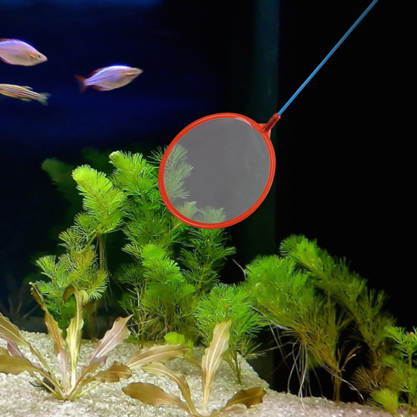 10Pcs Small Fishing Nets Porta - огляд і ціна Aquarium Fishland