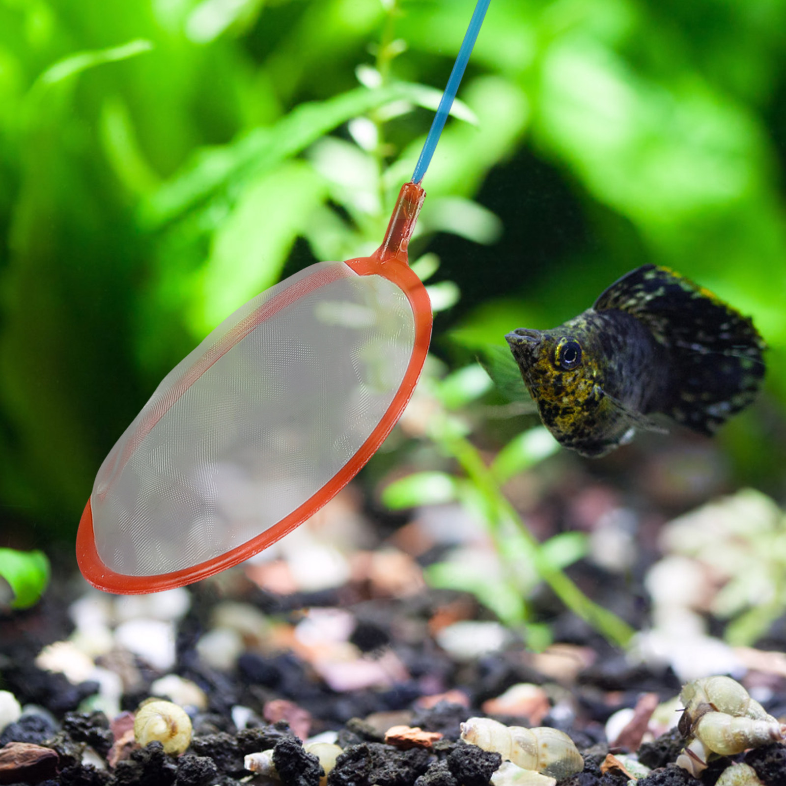10Pcs Small Fishing Nets Porta - огляд і ціна Aquarium Fishland