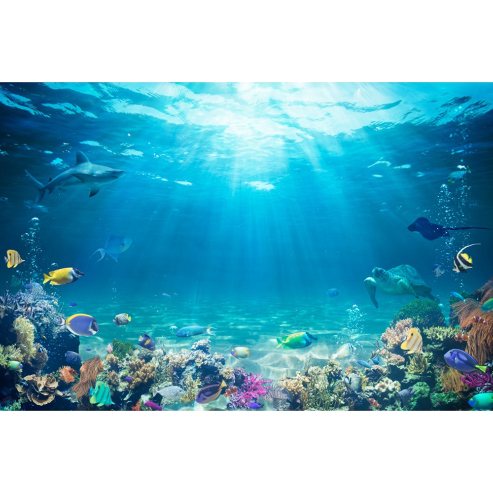 Underwater World Seabed Backdr - огляд і ціна Aquarium Fish Of The World