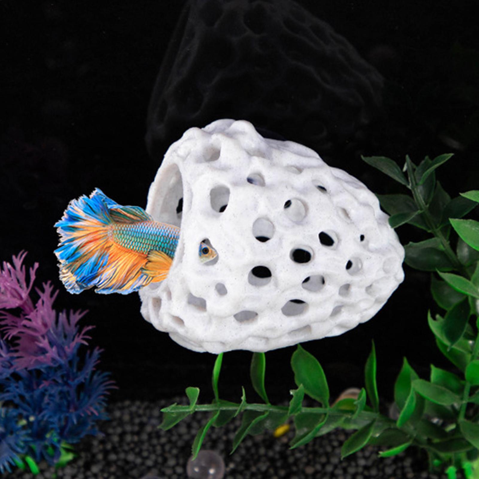 Aquarium shrimp house Cave Min - огляд і ціна Aquarium Fish Hiding Spot