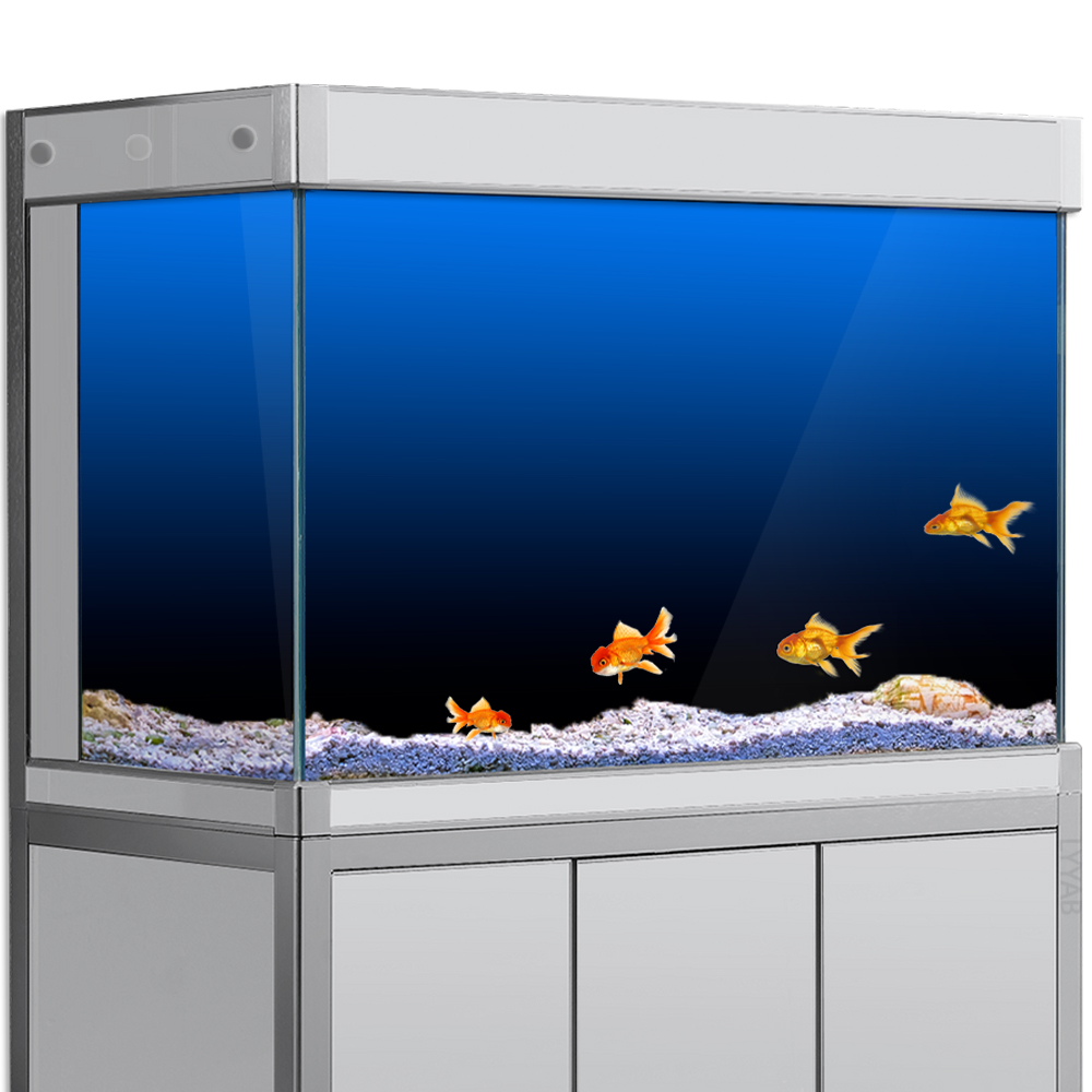 Fish Tank Background Sticker B - огляд і ціна Aquarium Fish Poster