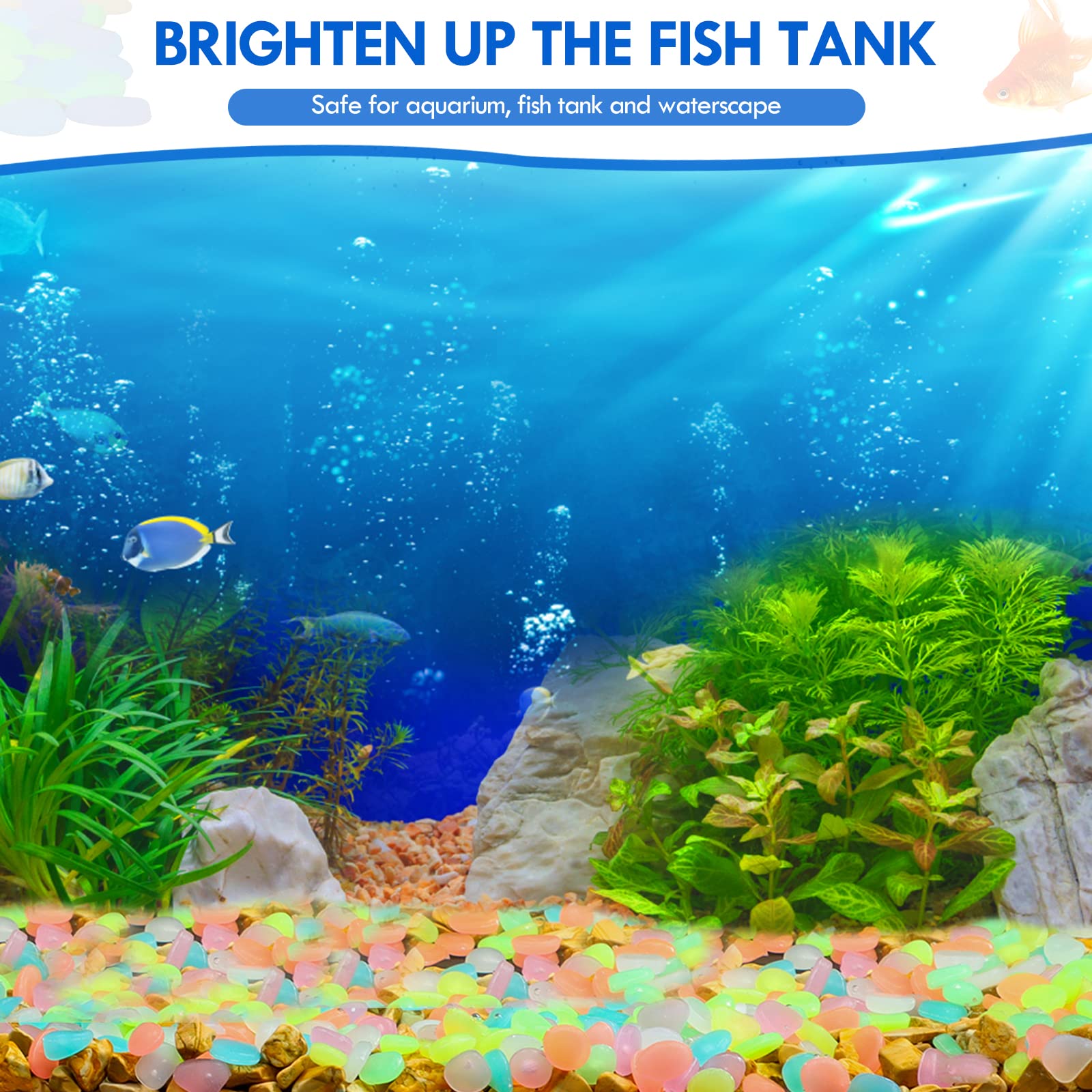 100Pcs Glow in the Dark Garden - огляд і ціна Aquarium Fish Breeding