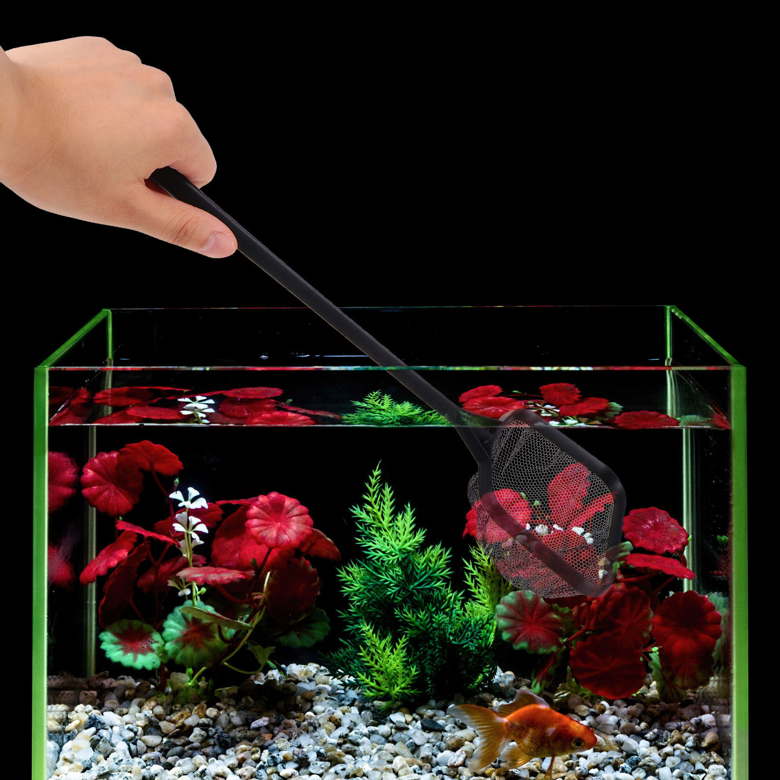 3Pcs Fishing Nets Fish Tank La - огляд і ціна Aquarium Fishland