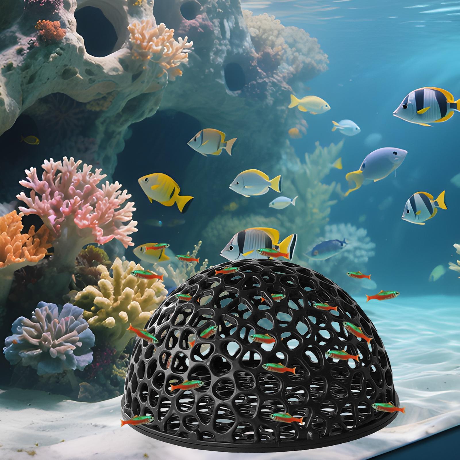 Aquarium shrimp house Cave Min - огляд і ціна Aquarium Fish Hiding Spot