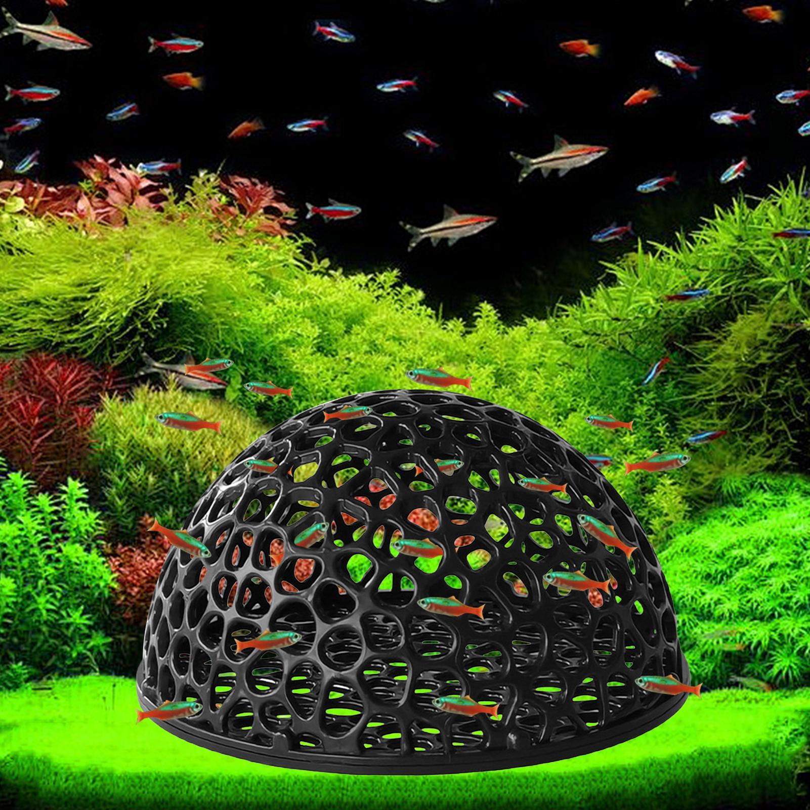 Aquarium shrimp house Cave Min - огляд і ціна Aquarium Fish Hiding Spot