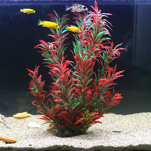 50CM Artificial Fish Tank Rare - огляд і ціна Aquarium Fish Breeding