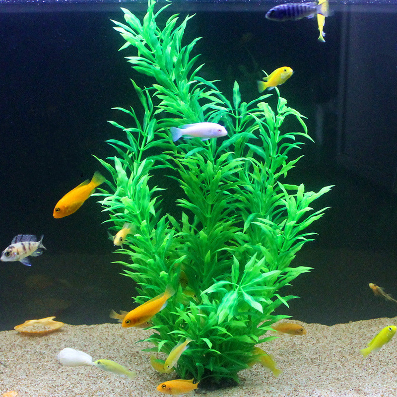 50CM Artificial Fish Tank Rare - огляд і ціна Aquarium Fish Breeding