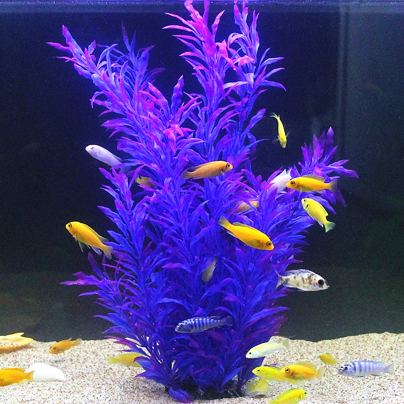 50CM Artificial Fish Tank Rare - огляд і ціна Aquarium Fish Breeding