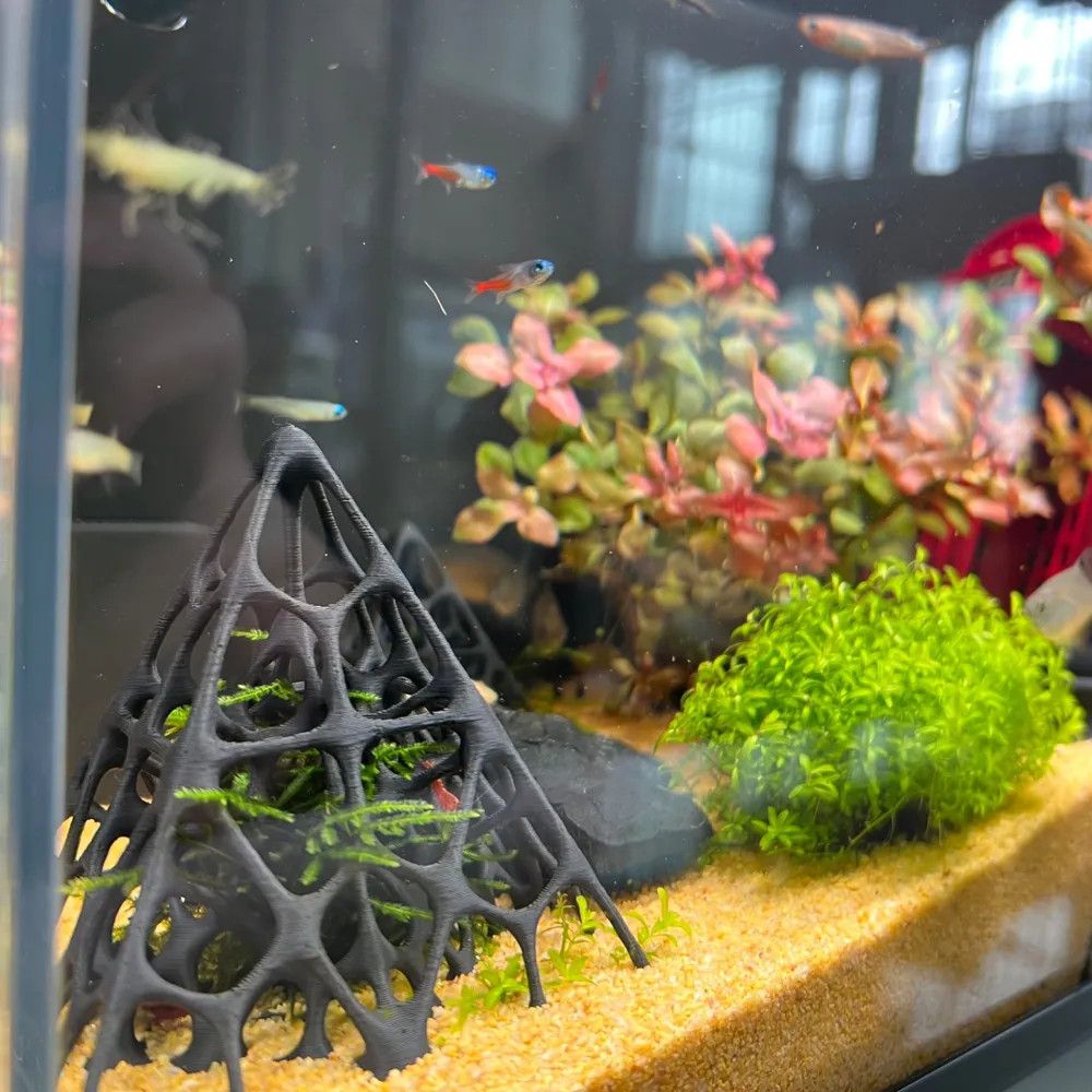 3D Printed Pyramid Fish & Shri - огляд і ціна Aquarium Fish Games