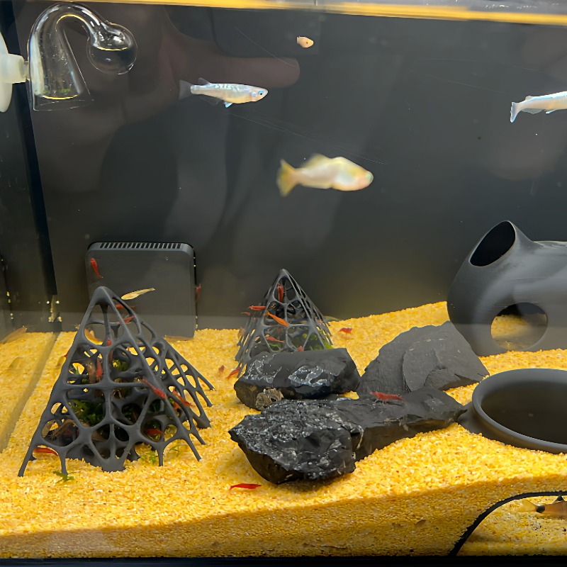3D Printed Pyramid Fish & Shri - огляд і ціна Aquarium Fish Games