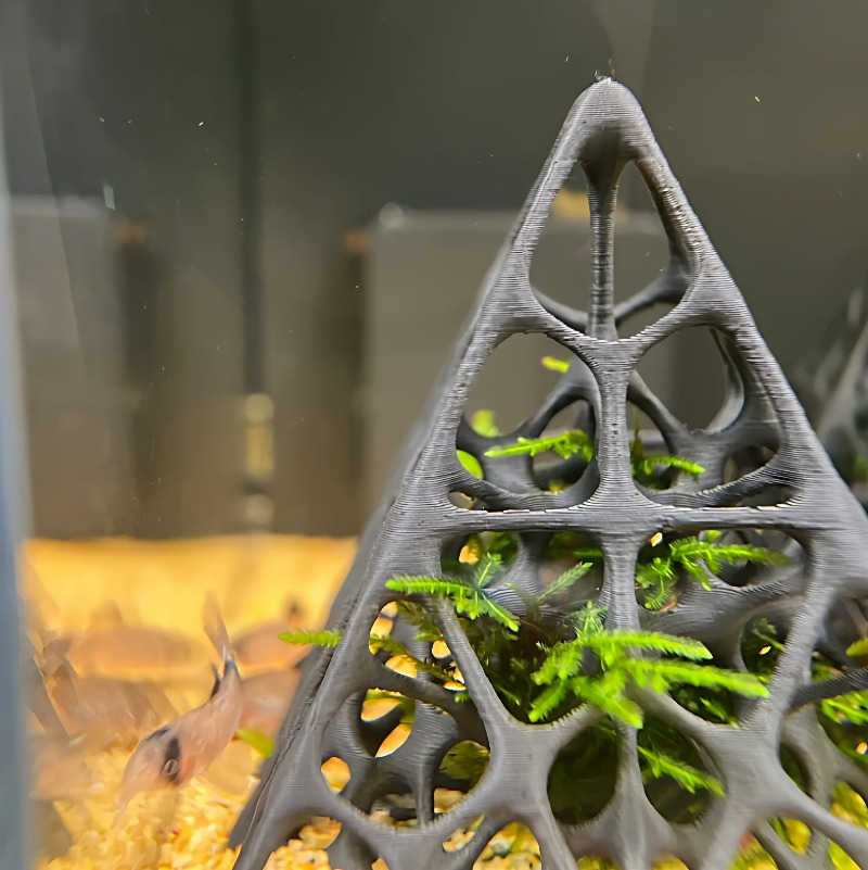 3D Printed Pyramid Fish & Shri - огляд і ціна Aquarium Fish Games