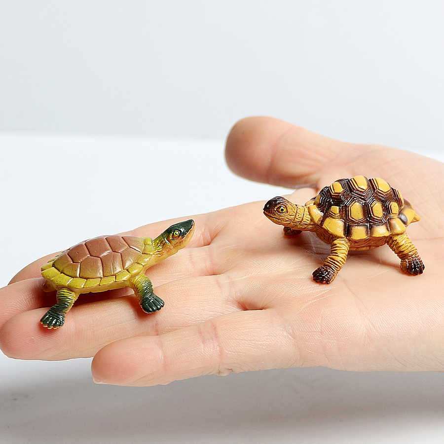 Realistic Miniatures Marine Li - огляд і ціна Aquarium Fish Breeding